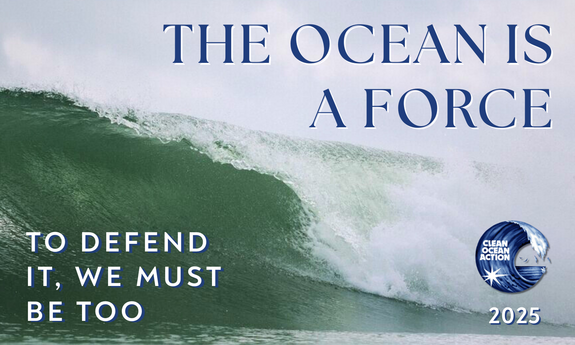 2025 End of Year Appeal